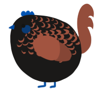 A sable and russet chicken with a half-lace pattern