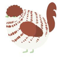 A white and russet chicken with a bar pattern
