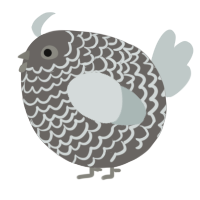 A grey and silver chicken with a lace pattern