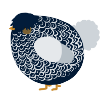 A tumblr and mist chicken with a double-lace pattern