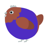 A indigo and russet chicken with a head pattern