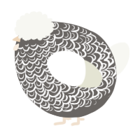 A grey and white chicken with a double-lace pattern