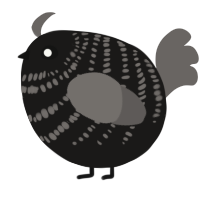 A sable and grey chicken with a bar pattern