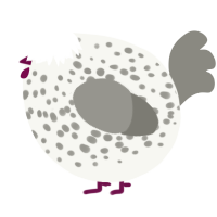 A white and ash chicken with a speckle pattern