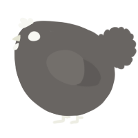 A grey chicken