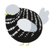 A sable and mist chicken with a bar pattern