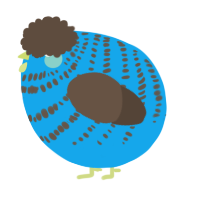A sky and bark chicken with a bar pattern