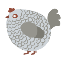 A mist and ash chicken with a lace pattern