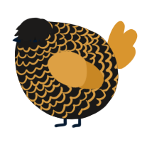 A sable and orange chicken with a lace pattern