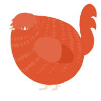 A vermilion chicken with a bar pattern