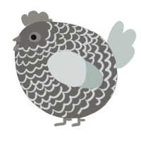 A grey and silver chicken with a lace pattern