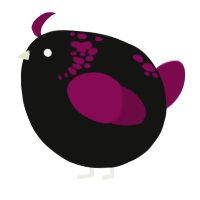 A black and wine chicken with a neck-speckle pattern