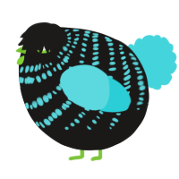 A sable and aqua chicken with a bar pattern