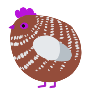A russet and mist chicken with a bar pattern