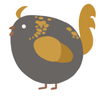 A grey and gold chicken with a neck-speckle pattern