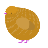 A ochre and gold chicken with a bar pattern