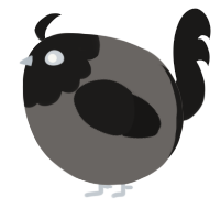 A grey and sable chicken with a head pattern