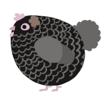 A sable and grey chicken with a lace pattern