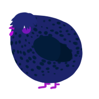 A navy and tumblr chicken with a speckle pattern