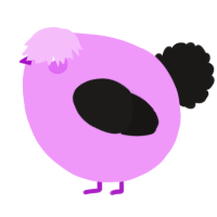 A lavender and sable chicken