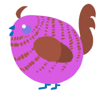 A orchid and russet chicken with a bar pattern