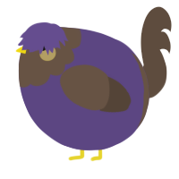 A overcast and bark chicken with a head pattern
