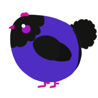 A indigo and black chicken with a head pattern