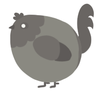 A ash and grey chicken with a head pattern
