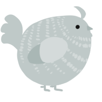 A silver chicken with a bar pattern