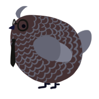 A silver and ash chicken with a lace pattern