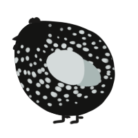 A black and silver chicken with a speckle pattern