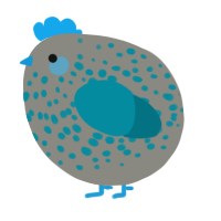 A ash and sea chicken with a speckle pattern