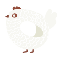 A white chicken with a lace pattern