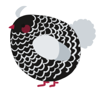 A sable and mist chicken with a lace pattern