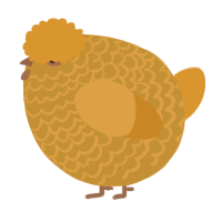 A gold and orange chicken with a lace pattern
