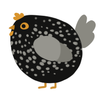 A black and ash chicken with a speckle pattern