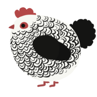 A white and black chicken with a double-lace pattern