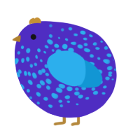 A indigo and sky chicken with a speckle pattern