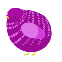A plum and orchid chicken with a bar pattern