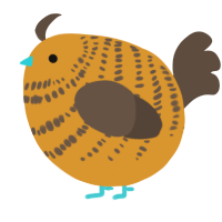 A orange and bark chicken with a bar pattern