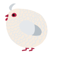 A cream and mist chicken with a lace pattern