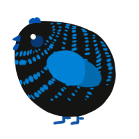 A black and sapphire chicken with a bar pattern