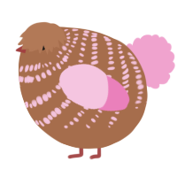 A brown and pink chicken with a bar pattern