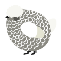 A ash and white chicken with a lace pattern