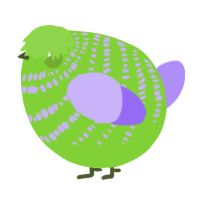 A grass and lilac chicken with a bar pattern