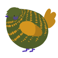A olive and ochre chicken with a bar pattern