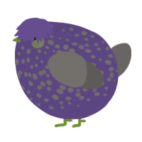 A overcast and grey chicken with a speckle pattern