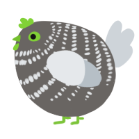 A grey and mist chicken with a bar pattern