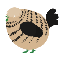 A beige and sable chicken with a bar pattern