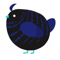 A sable and navy chicken with a bar pattern